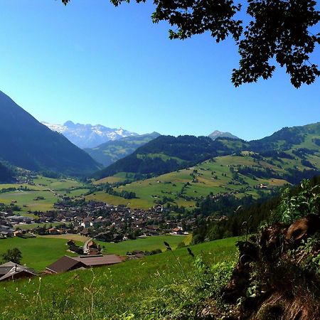 Sonnegg Hotel Zweisimmen Extérieur photo